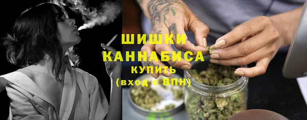 ПСИЛОЦИБИНОВЫЕ ГРИБЫ Алексеевка