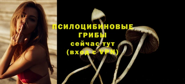 ПСИЛОЦИБИНОВЫЕ ГРИБЫ Алексеевка
