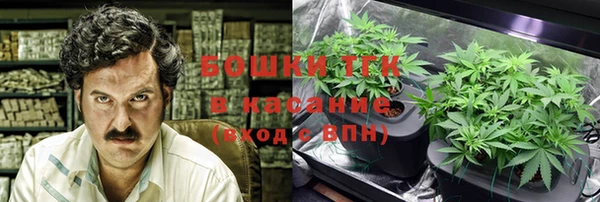 ПСИЛОЦИБИНОВЫЕ ГРИБЫ Алексеевка