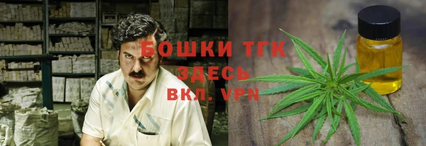круглые Алзамай